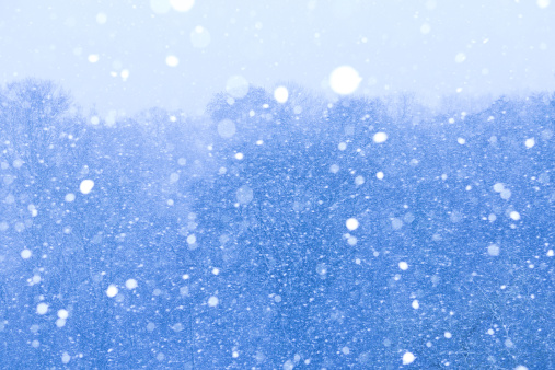 久しぶりの雪⛄