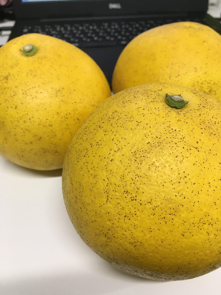 雪！？　ぶんたん