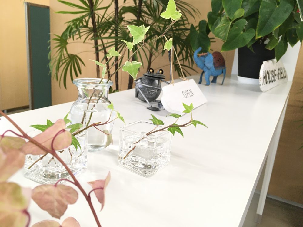 アイビー水差し