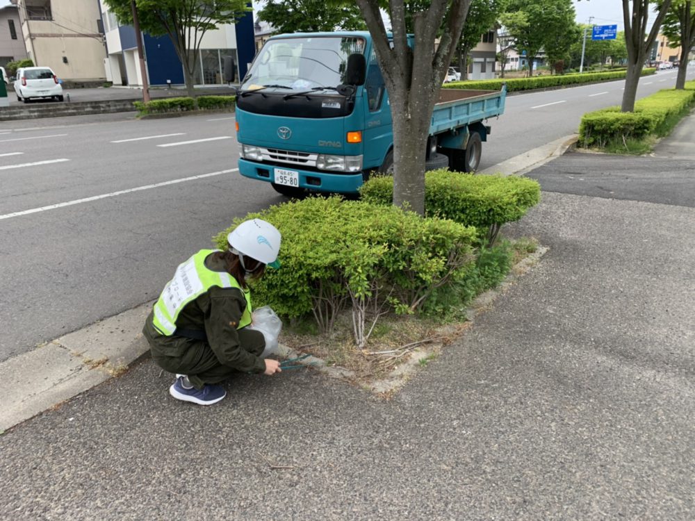 郡山市アイラブロード事業