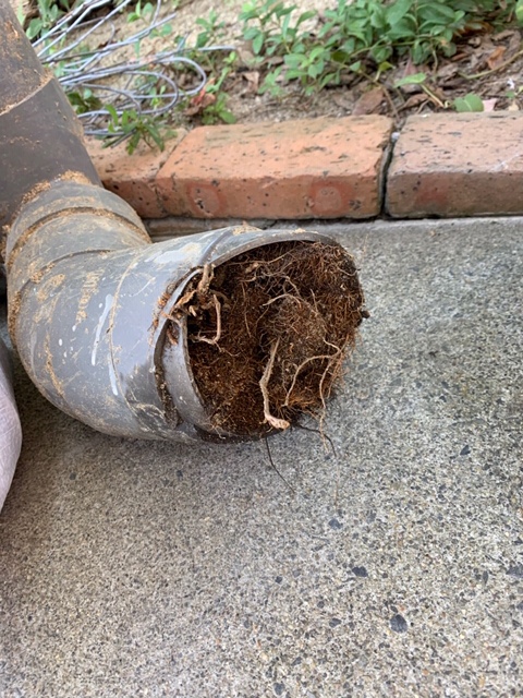 本日の工事進行🔨