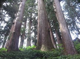 オリンピックの開幕