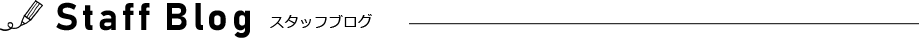 スタッフブログ